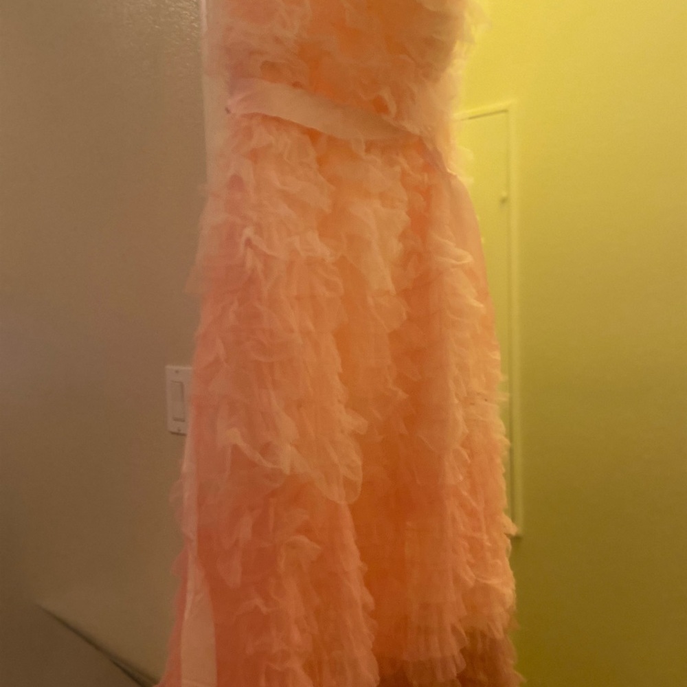 Fashion Nova Peach Ruffle Prom Dress